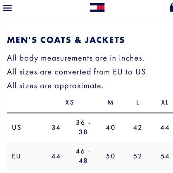 Tommy Hilfiger Snowdon Wool Blend Hooded Parka Coat Sz. 42R/ L - Picture 8 of 8